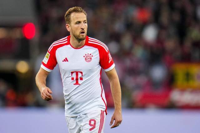 新赛季将参 新赛季将参